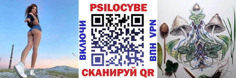 Галлюциногенные грибы Cubensis  сколько стоит  hydra ТОР  Дагестанские Огни 