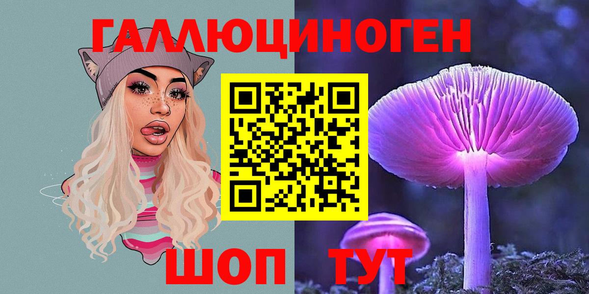 Псилоцибиновые грибы Psilocybe Дагестанские Огни