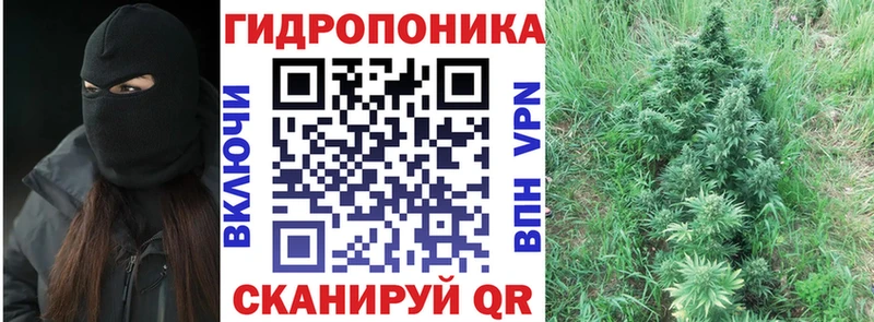 Марихуана ГИДРОПОН  блэк спрут маркетплейс  Дагестанские Огни 